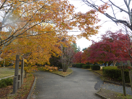 曽木の滝紅葉