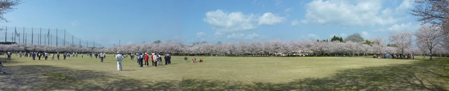 忠元公園全景