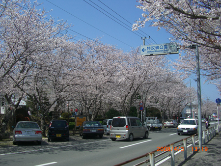 特攻碑公園