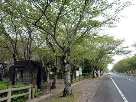 特攻碑前道路