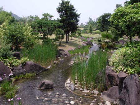 竹林園の川