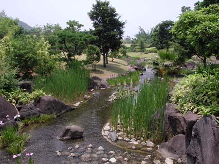 竹林園の川