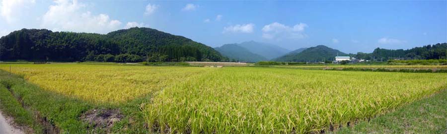 さつま町平川から紫尾山を望む